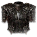 Appius Knights Chest Armor