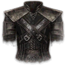 Knights Templar Vest (Bound)