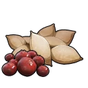 莓果種子