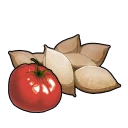 Semi di pomodoro