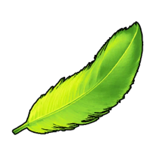 Tocotoco Feather