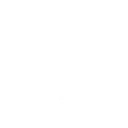 Cheval noir's icon