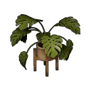 관엽식물 세트's icon