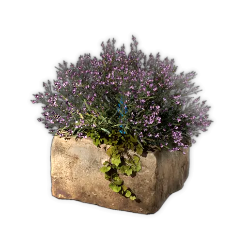 Large Stone Planter