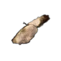 Small Animal Hide