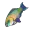 Rainbow Trout - V Rising Database