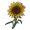 Sunflower - V Rising Database